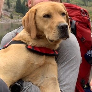 Meet your Posher, Bradley